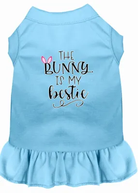 Bunny Is My Bestie Screen Print Dog Dress Baby Blue Xxl (18)