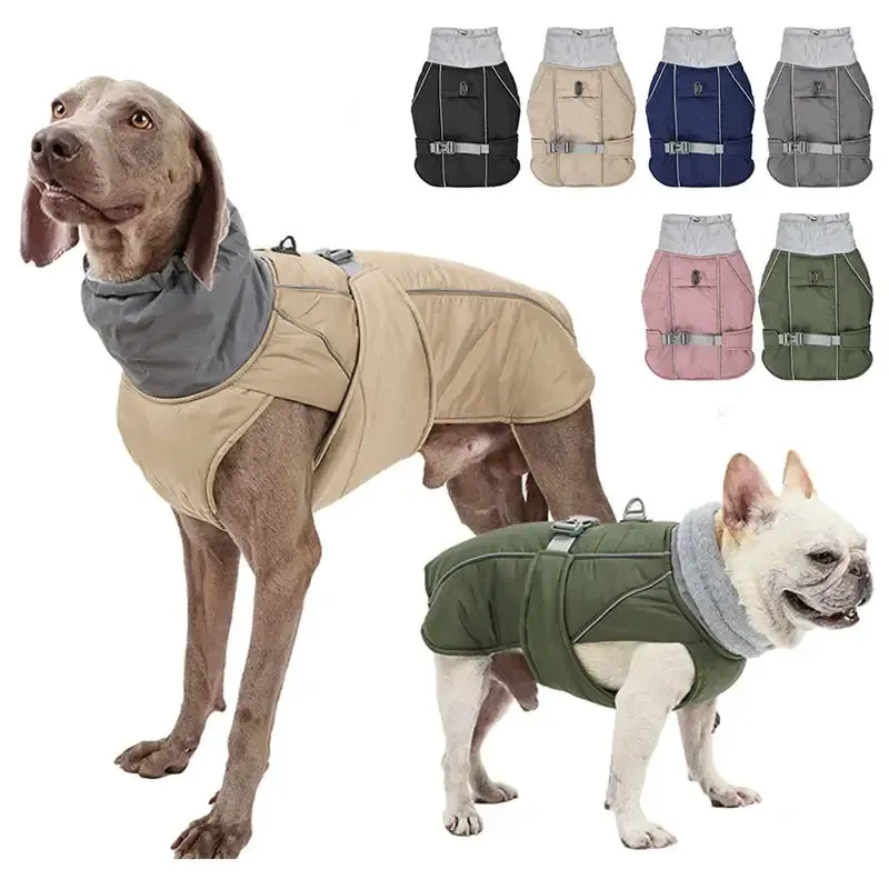 Dog winter jacket - for big & small