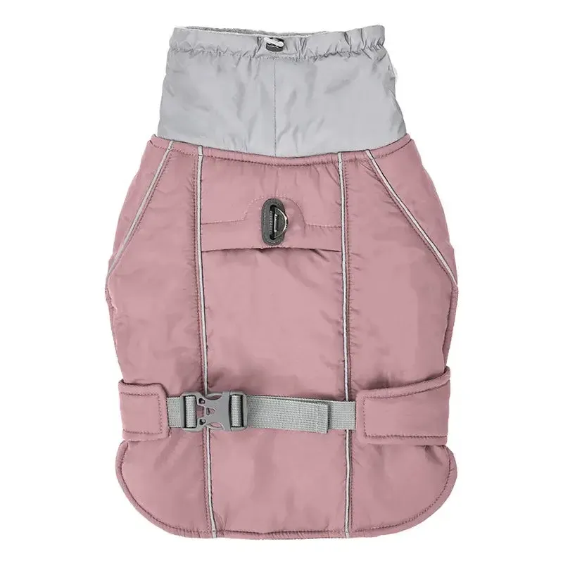 Dog winter jacket - for big & small