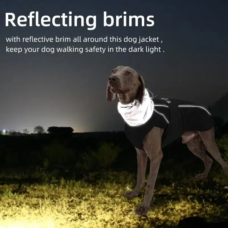 Dog winter jacket - for big & small