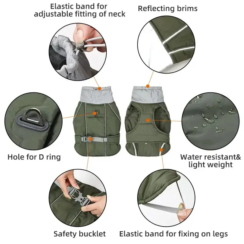 Dog winter jacket - for big & small