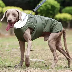 Dog winter jacket - for big & small