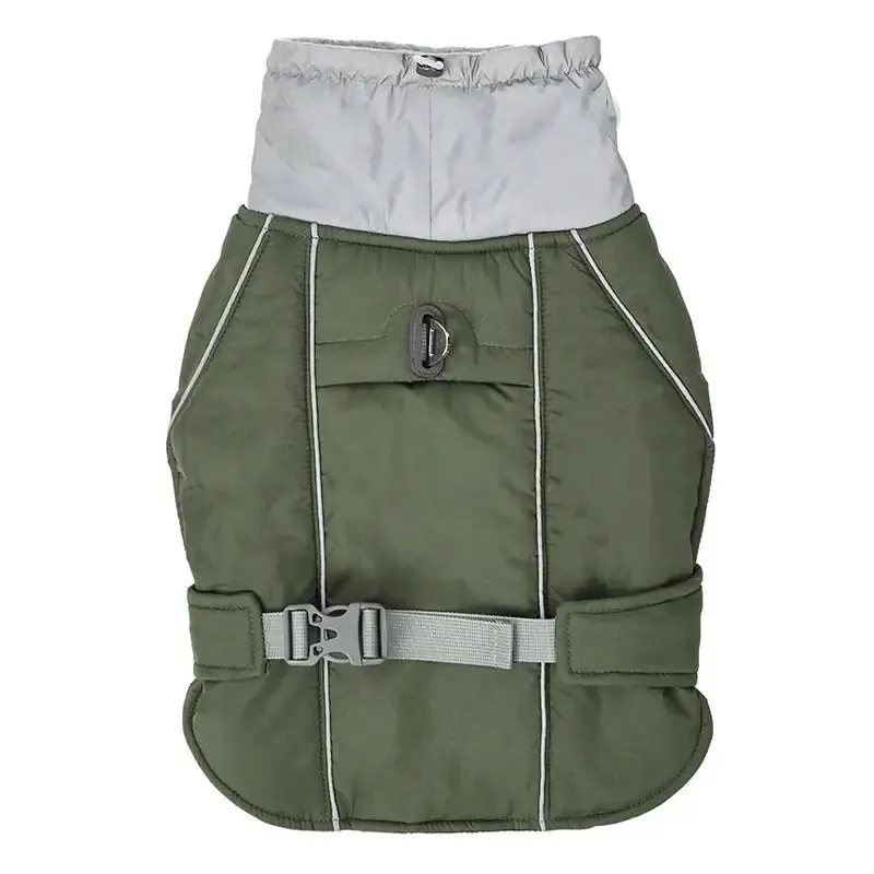 Dog winter jacket - for big & small