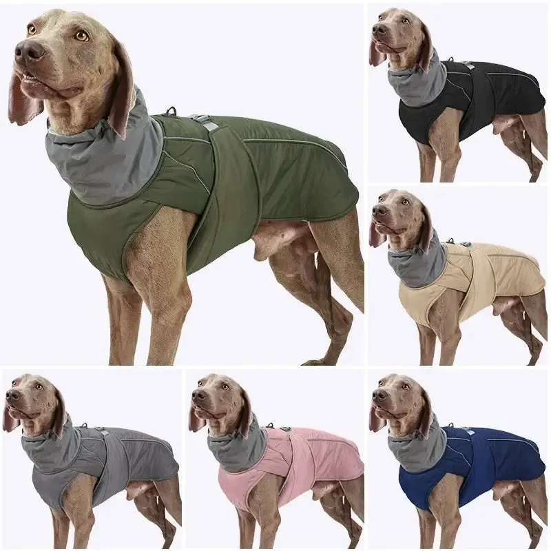 Dog winter jacket - for big & small