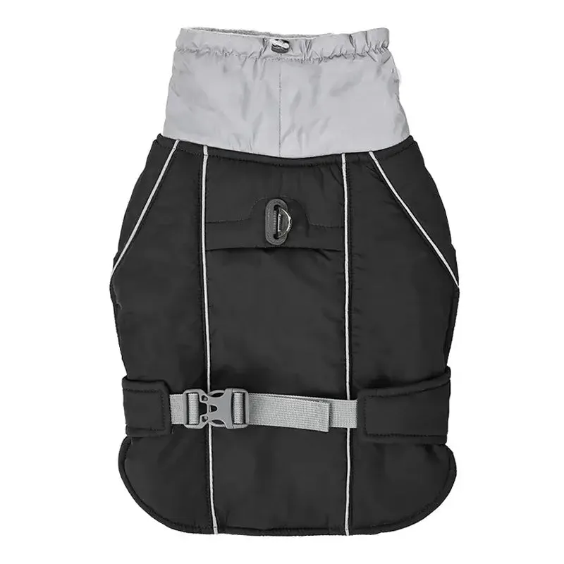 Dog winter jacket - for big & small